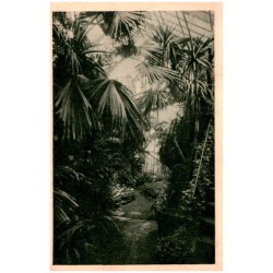 Gliwice - Palmiarnia Miejska