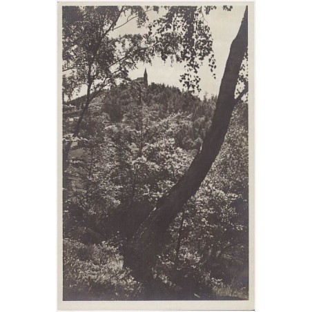 Friedeberg i. Schles. Lichtbild von R. Chodura.