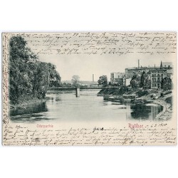 Oderparthie. Ratibor 11904