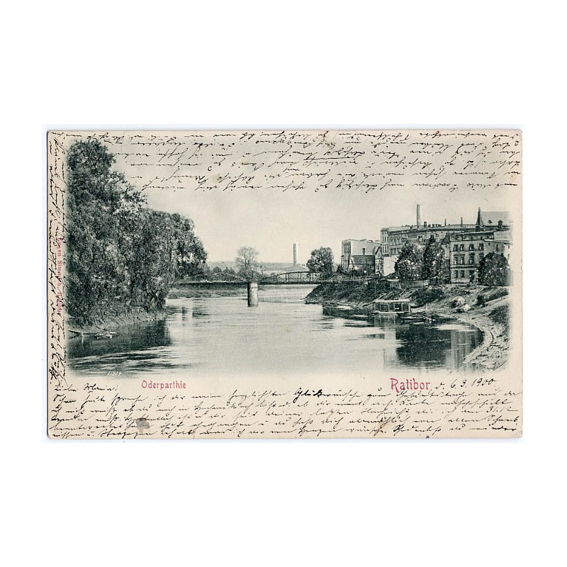 Oderparthie. Ratibor 11904