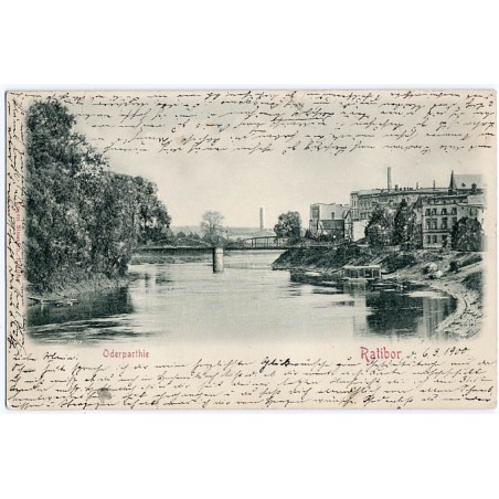 Oderparthie. Ratibor 11904