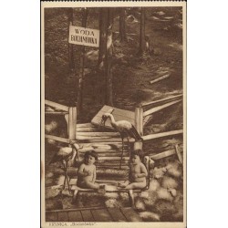 Krynica "Bocianówka"