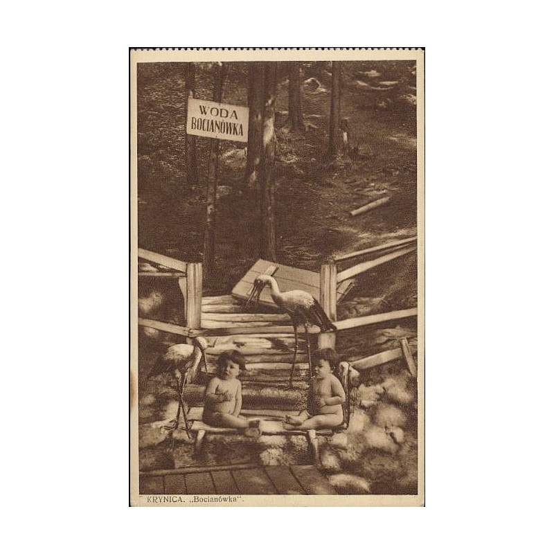 Krynica "Bocianówka"