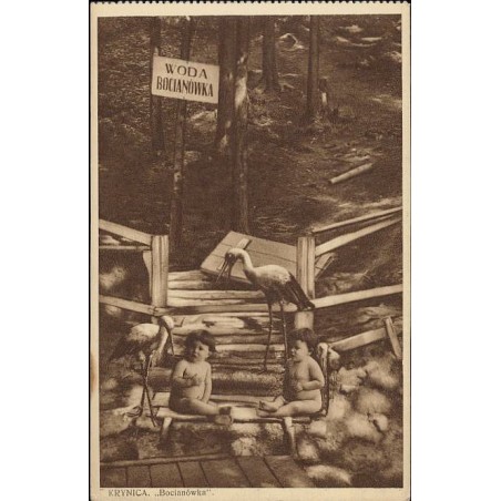 Krynica "Bocianówka"