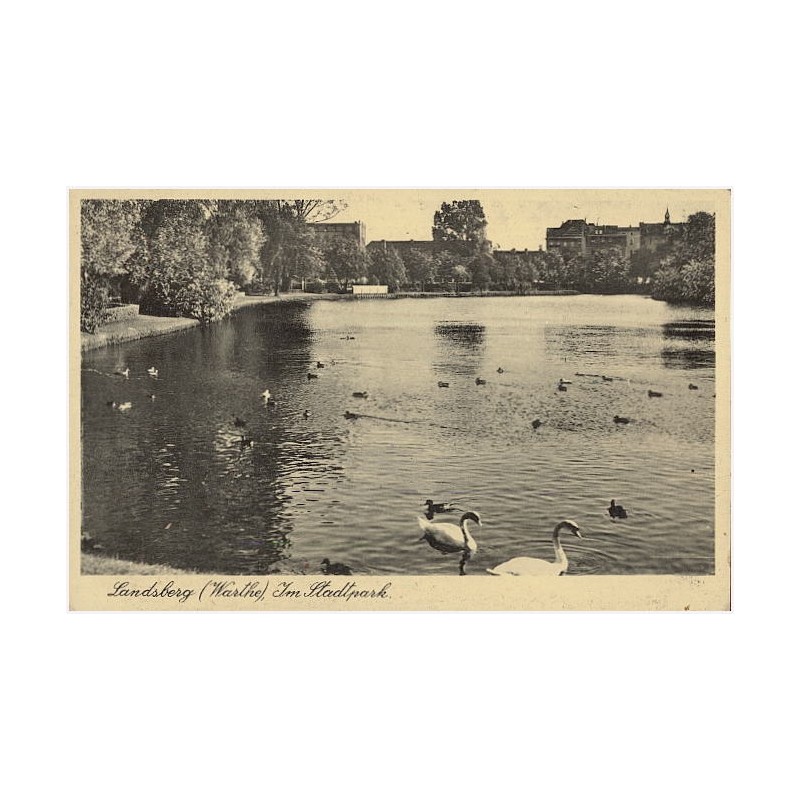 Landsberg (Warthe), Im Stadtpark