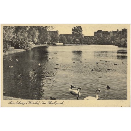 Landsberg (Warthe), Im Stadtpark