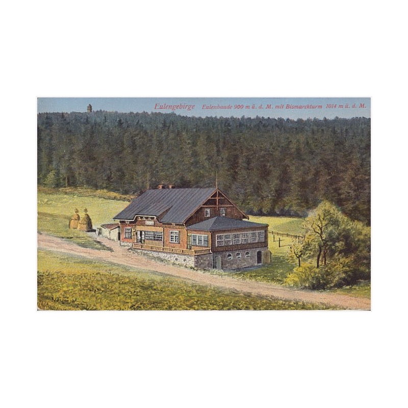 Eulengebirge. Eulenbaude 900 m ü. d. M. mit Bismarckturm 1014 m ü. d. M