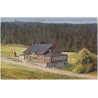 Eulengebirge. Eulenbaude 900 m ü. d. M. mit Bismarckturm 1014 m ü. d. M