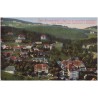 Ober-Krummhübel i. Rgb. mit Dr. Ziegelroth's Sanatorium. Hotel Goldner Frieden, Brückenberg u. Bergschloß