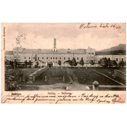 Delatyn. Saliny. - Salinen. [...]