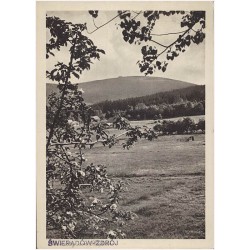 Świeradów-Zdrój. Bad Flinsberg im schlesischen Isergebirge