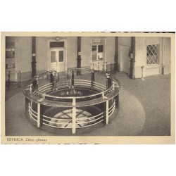 Krynica. Zdrój główny