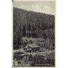 Bad Flinsberg. Waldbaude. Silesia 4004. Isergebirge. Bad Flinsberg Waldbaude