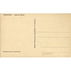 Truskawiec. - Aleja do Marysi