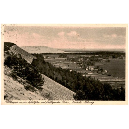 Pillkoppen an der befestigten und freiliegenden Düne, Kurische Nehrung