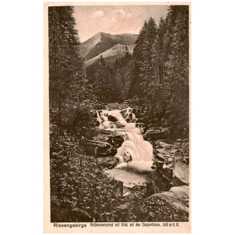 Riesengebirge. Weißwassergrund mtt Blick auf den Ziegenrücken, 1410 m ü. M.