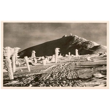Riesengebirge. Schneekoppe 1605 m.