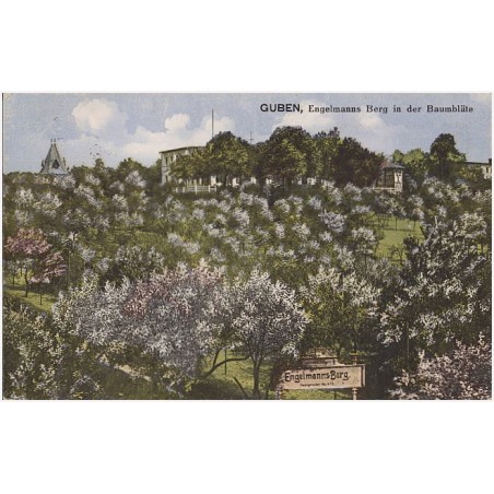 Guben, Engelmanns Berg in der Baumblüte [...]