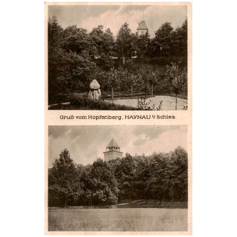 Gruß vom Hopfenberg. Haynau i/ Schles.