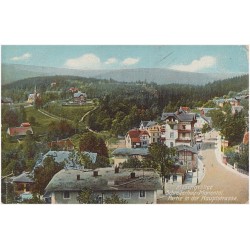 Riesengebirge. Schreiberhau-Mariental. Partie in der Hauptstrasse