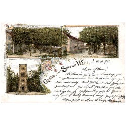 Gruss aus dem Sorauer Walde. Grüner Wald. Rautenkranz. Blockhaus