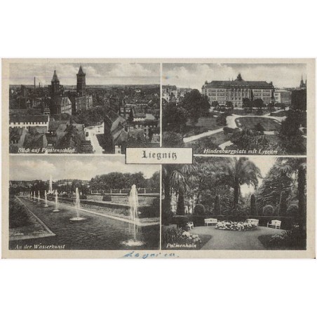 Liegnitz. Blick auf Piastenschloß. An der Wasserkunst. Hindenburgplatz mit Lyzeum. Palmenhain