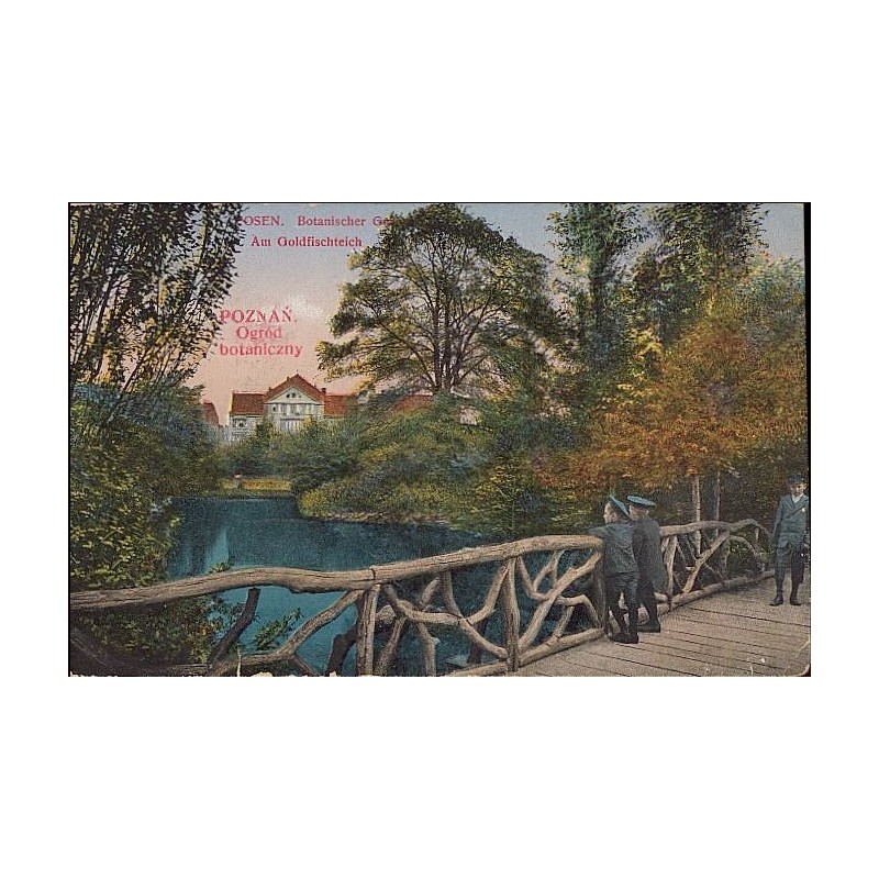 Poznań. Ogród botaniczny. Posen. Botanischer Garten Am Goldfischteich [...]