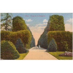 Oliva - Partie im Schloßgarten