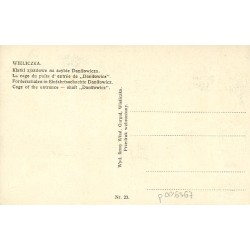 Wieliczka. Klatki zjazdowe na szybie Daniłowicza [...]