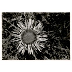 Tatry. Dziewięć sił. Fot. Tadeusz Krystek