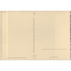 Verschneite Fichten [...] 209