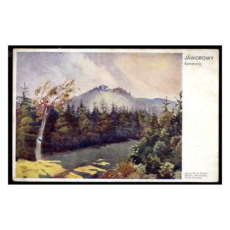 Jaworowy. Kammweg. Aquarell: L. Palme. Druck: Prochaska, Tsch.-Teschen