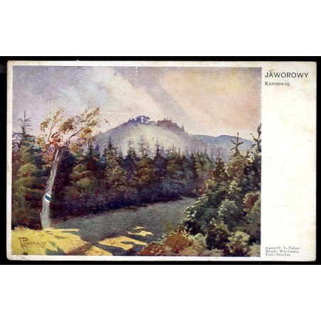 Jaworowy. Kammweg. Aquarell: L. Palme. Druck: Prochaska, Tsch.-Teschen