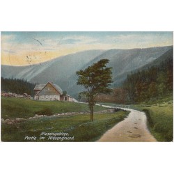 Riesengebirge. Partie im Riesengrund / Obří důl