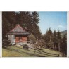 Schirk (Oberschlesien). Bauernhaus am Beskid