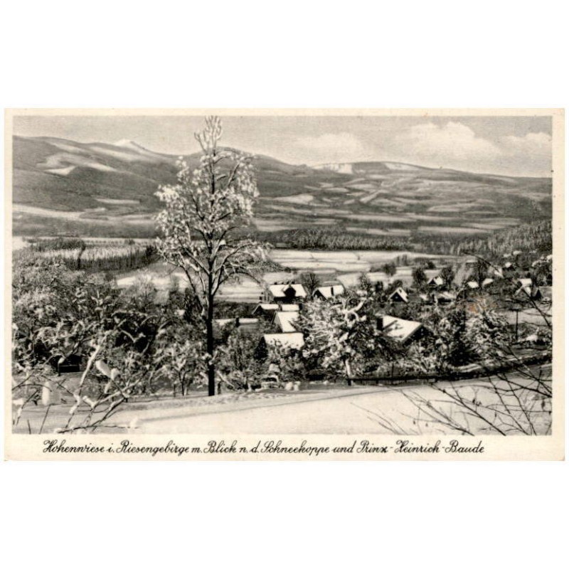 Hohenwiese i. Riesengebirge m. Blick n. d. Schneekoppe und Prinz-Heinrich-Baude