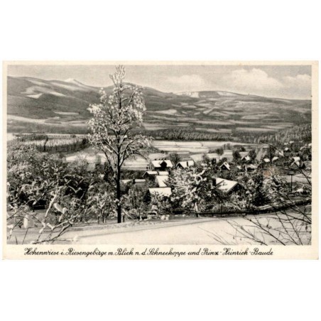 Hohenwiese i. Riesengebirge m. Blick n. d. Schneekoppe und Prinz-Heinrich-Baude