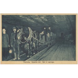 Wieliczka. Kopalnia soli. Koń w zaprzęgu