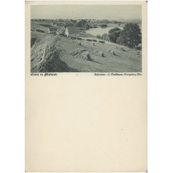 Ernte in Masuren. Aufnahme: H. Stallbaum-Königsberg (Pr)