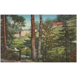 Wodospad i ruiny Wielkiego Mostu przy klasztorze OO. Karmelitów w Czerny