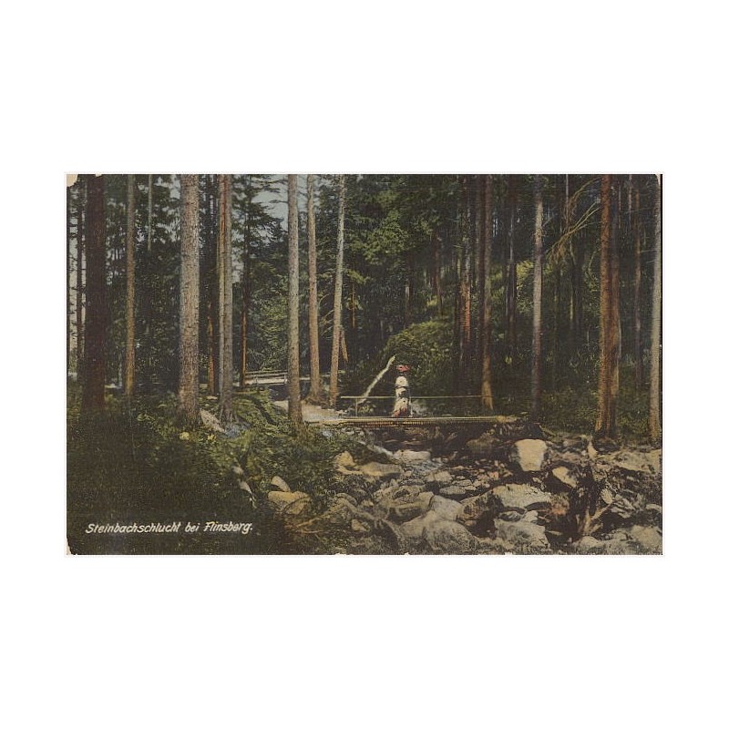Steinbachschlucht bei Flinsberg