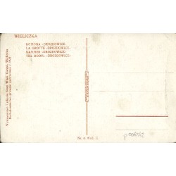 Wieliczka. Komora "Drozdowice" [...]