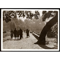 Warszawa. Łazienki, fragment parku. Fot. Roman Puchalski