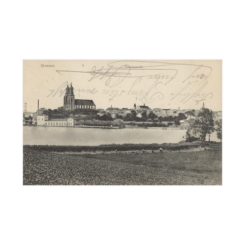 Gnesen Totalansicht 21315