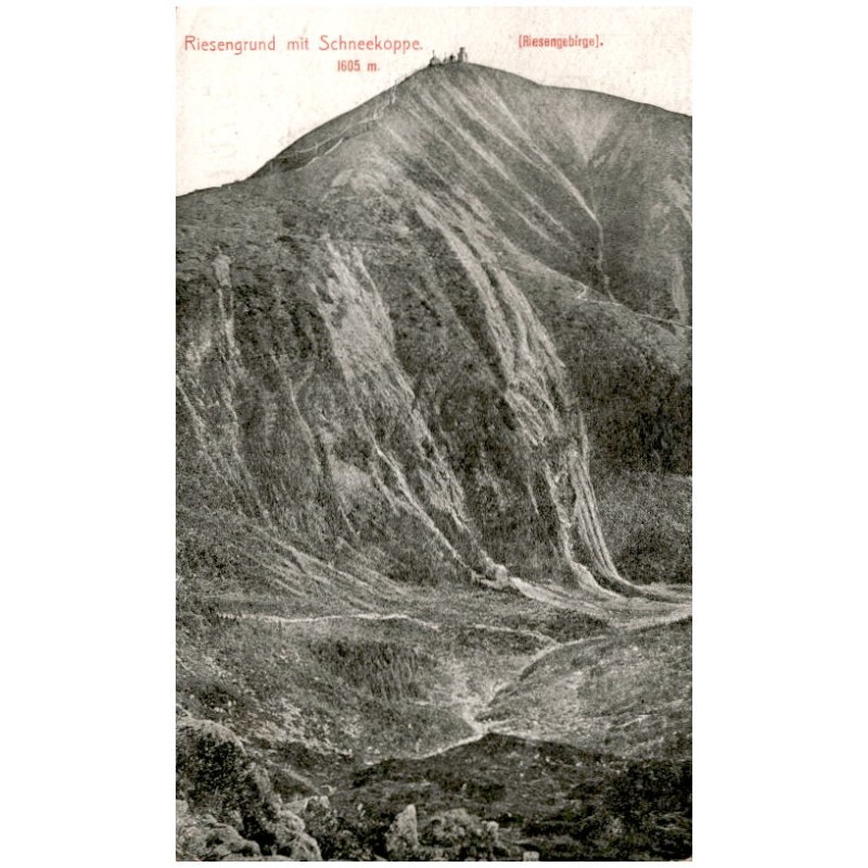 Riesengrund mit Schneekoppe. 1605 m. [Riesengebirge]. / Obří důl
