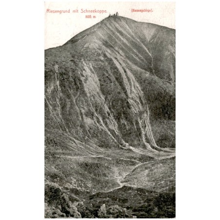 Riesengrund mit Schneekoppe. 1605 m. [Riesengebirge]. / Obří důl