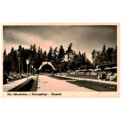 Ober-Schreiberhau i. Riesengebirge - Kurpark 77394