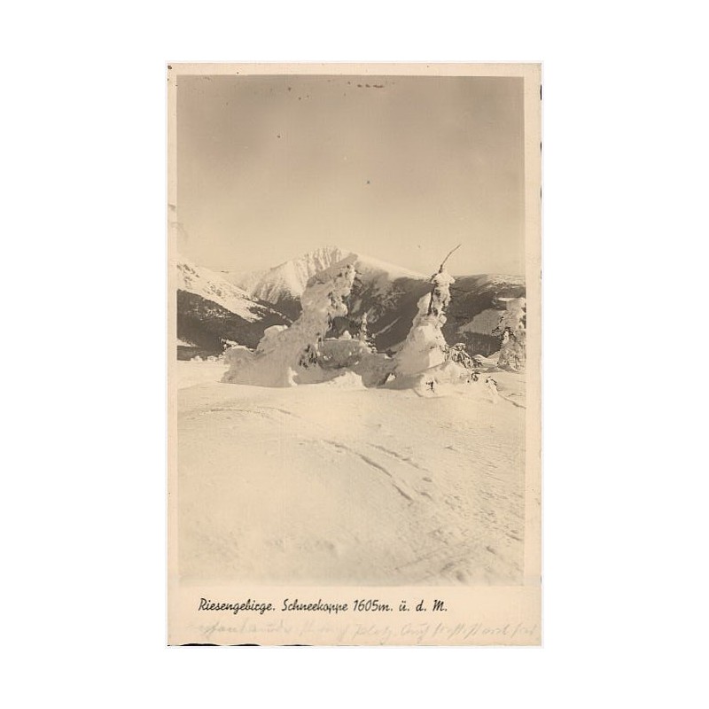 Riesengebirge. Schneekoppe 1605m. ü. d. M
