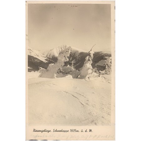 Riesengebirge. Schneekoppe 1605m. ü. d. M