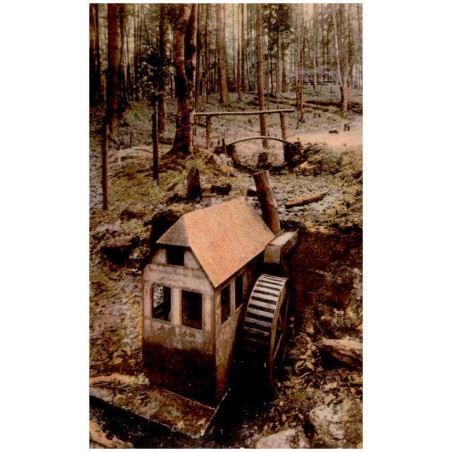 Mückenborn, Sorauer Wald.